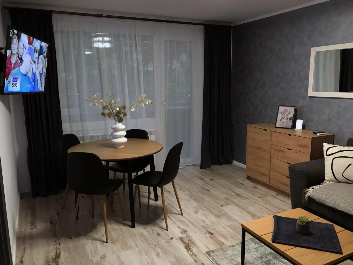 Homely Apartment Suceava Exterior photo